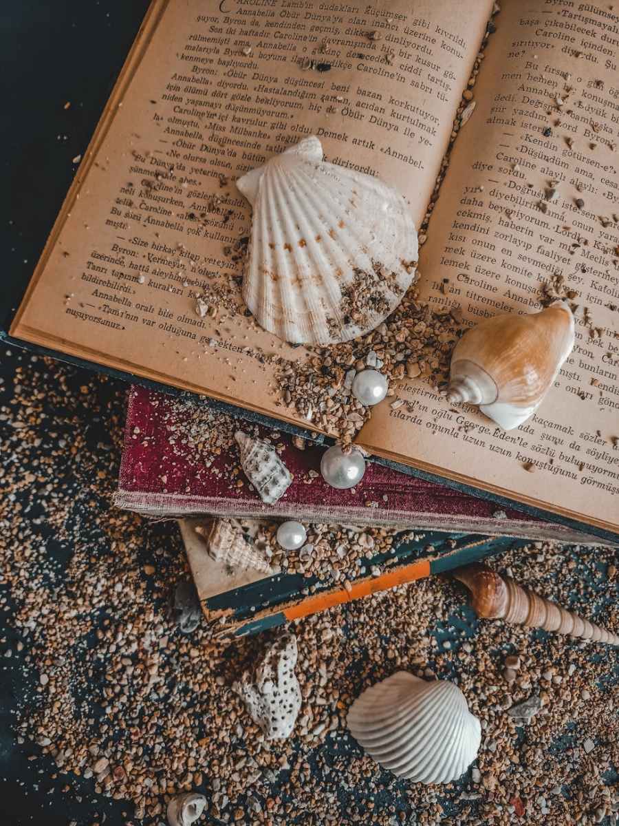 a seashells on an open book