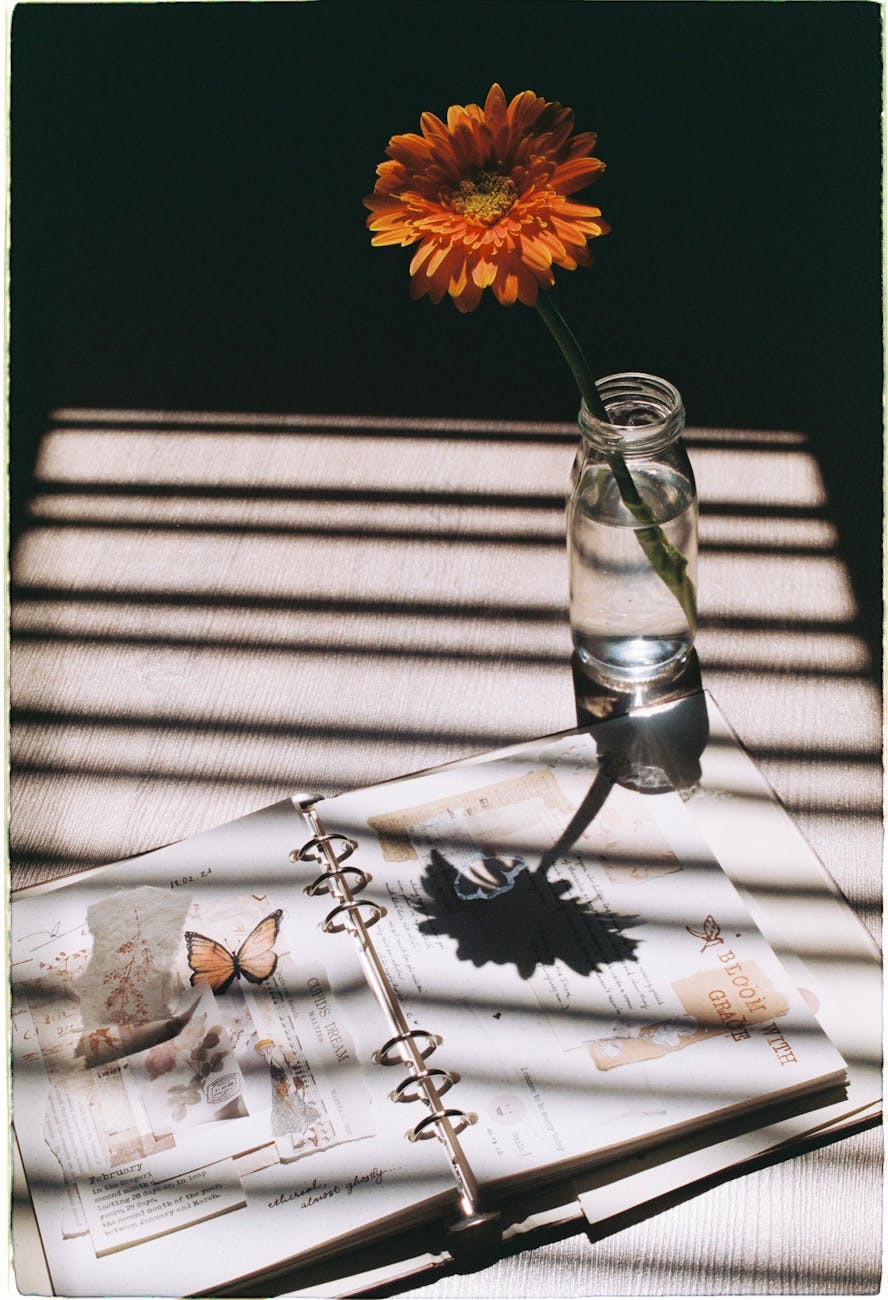 flower in bottle near sunlit herbarium
